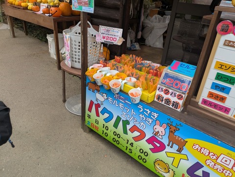 PXL_20251026_013459673~2