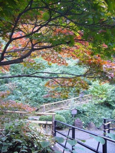 庭園