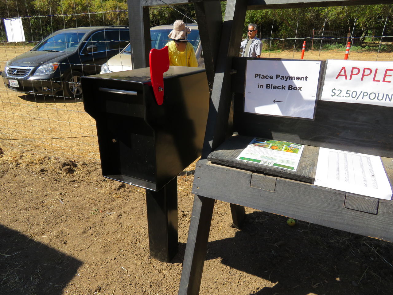 りんご狩り Apple Picking My Eigo World