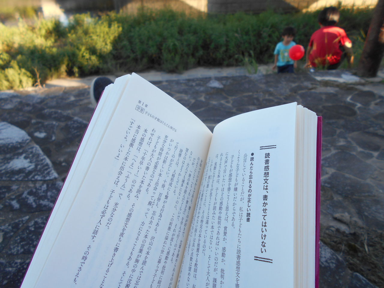 清州城つづきその２ 台中おばさんのブログ