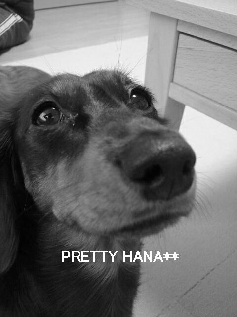 pretty hana