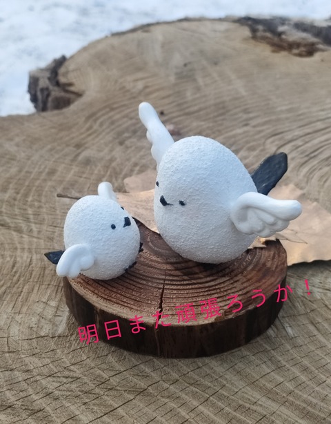 IMG20250406173225-02