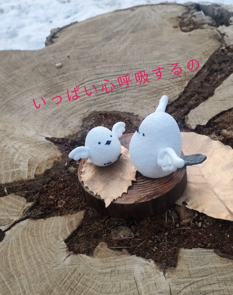 IMG20250406173046-01