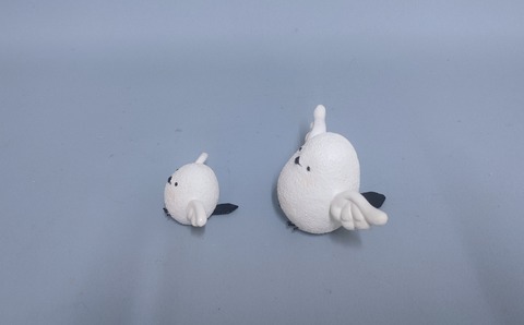 IMG20250405224504-01