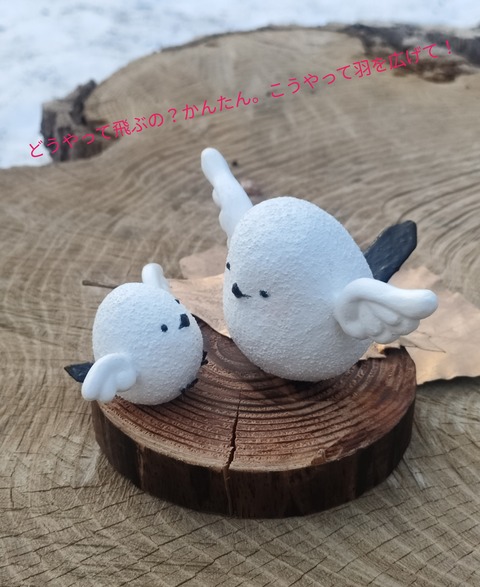 IMG20250406173225-01