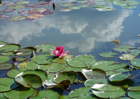 IMG_20210623_172747-01