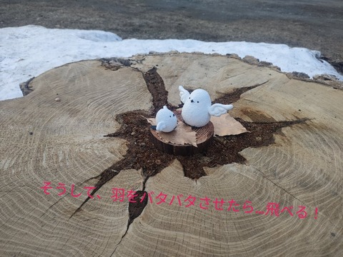 IMG20250406172959-01