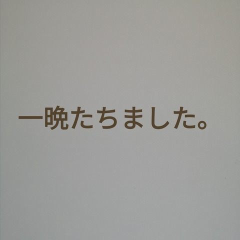 22-08-22-14-26-29-434_deco