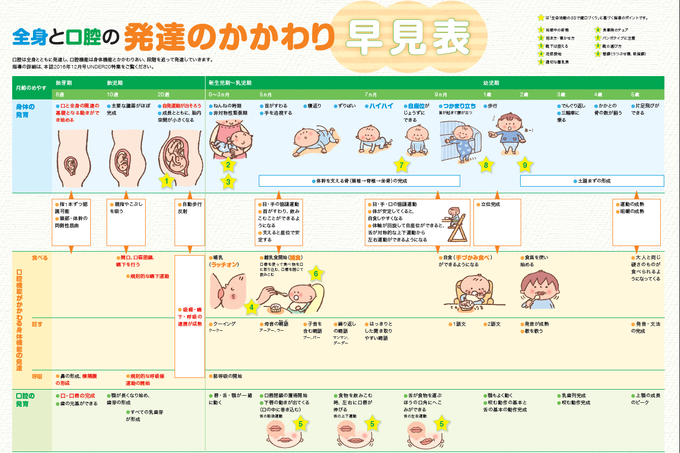 こどもの口腔機能を育む取り組み ふかみ歯科 スタッフブログ