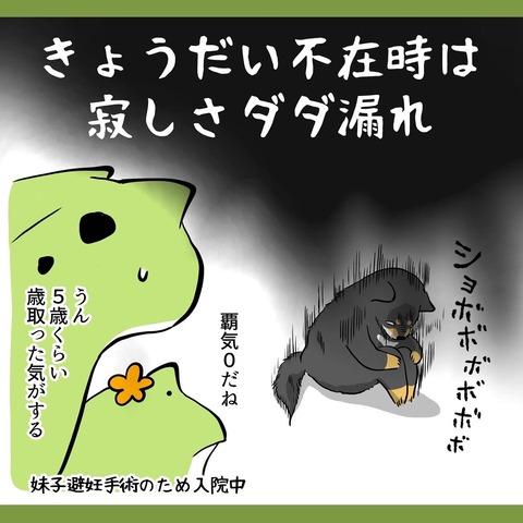 1ABE2528-C6ED-4357-9D3E-61299A1221EF