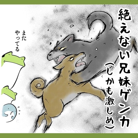8D84AF11-CF9B-46D4-AA7B-DC8B8ECE54FF