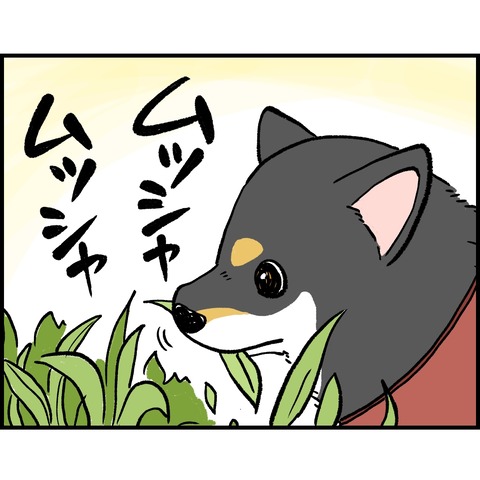 5B22458C-D5D8-43B4-B5D3-E14C6A30B7F7