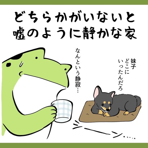 CE8DB4A0-023E-4C4D-B95E-51316005ECD4