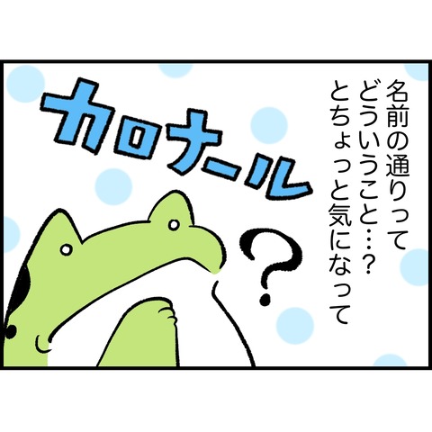 DFC60E58-B1E3-43AA-9D22-A97335FEF3F4