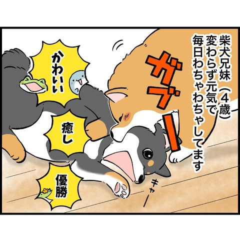 55CDA30C-C31C-4891-87CB-E1069F636E12