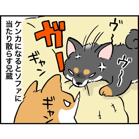 1586653A-BD61-4229-9FC2-029A8B74788E