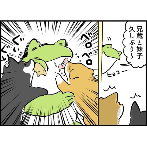 4F857ECB-685E-4522-8A31-193F75B26526