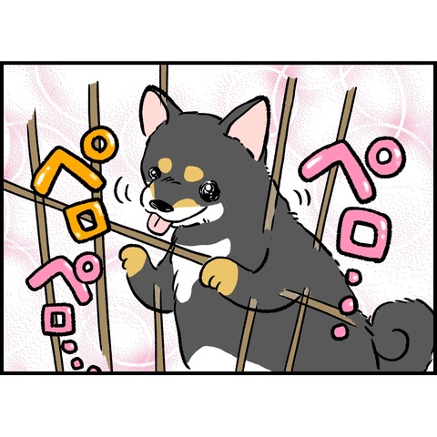 1B2575DC-5E1E-41E2-A81E-882BCDB48C37