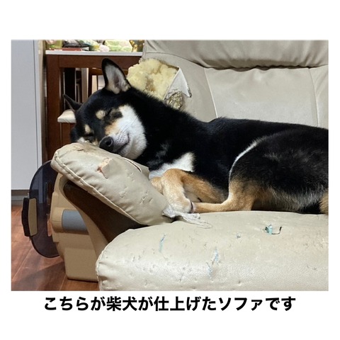 D2FC7FB9-E3B9-49B9-B806-1D5E7ED37207