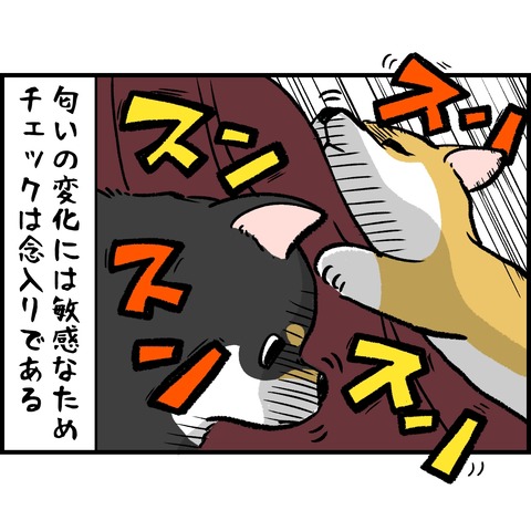 DC084A1D-391B-4448-85FC-AF7207AEF473
