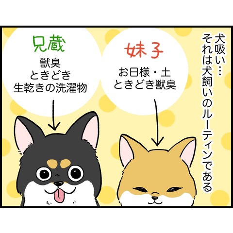 5180BB03-E550-4228-96E4-65BA57359CBC