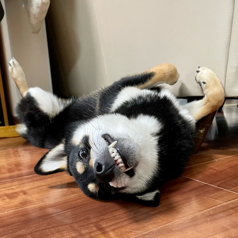 A9752551-C18B-4BAE-B072-36D60C028BDB