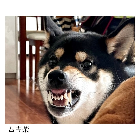 9D91EB04-E507-44BD-A4F4-DC587832717E