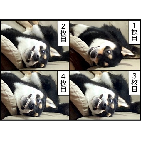 C677FBA3-FC59-4E29-A6D1-11B5FAD221D2