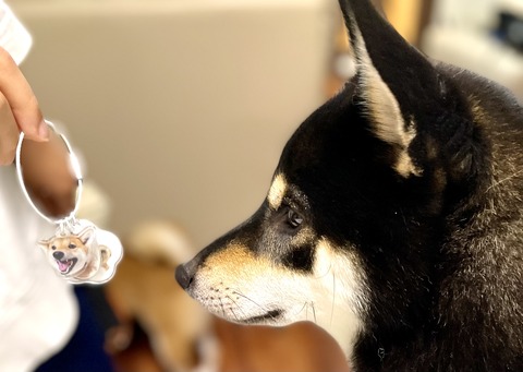 FE52F356-D6BE-4C31-8A67-A454FE9E3128