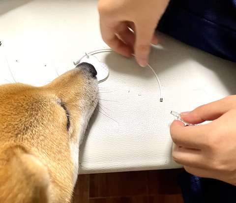 E1C1E5DE-6EAE-44BA-B438-4887F875A18F