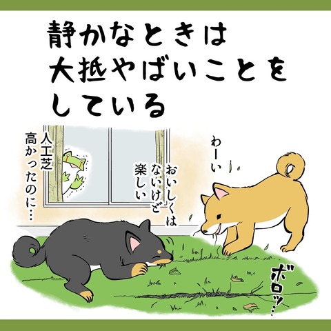 53FC543C-B703-4123-B1CA-F74792278902