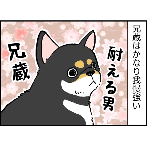 EB866F66-570E-4AFD-BF4A-026592C719B2
