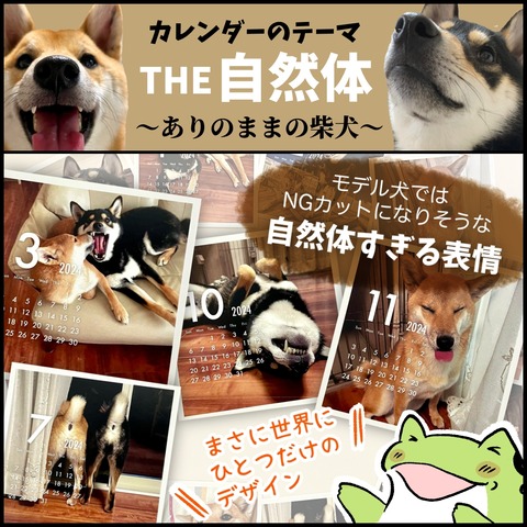 388F07B4-FE1D-4554-A8DE-E56DDC15A567