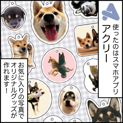 FE48CDDF-9E07-48D3-934F-34B750B19EFC