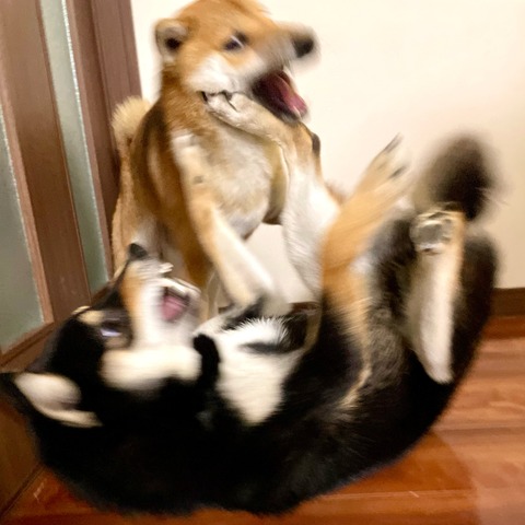 4F215EF2-089F-40F2-89F7-8A58D717FD43