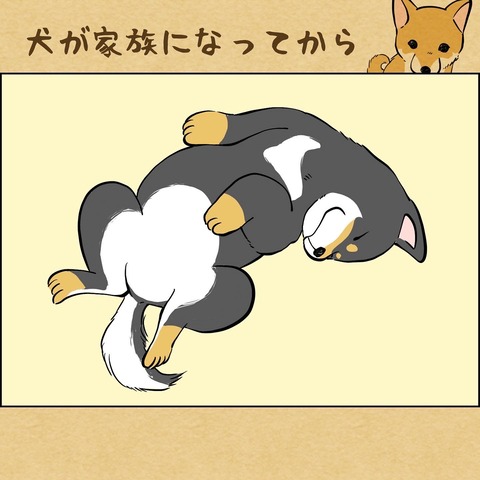 9C8F27B6-FC5B-474B-A69D-4A6A1342AAB4
