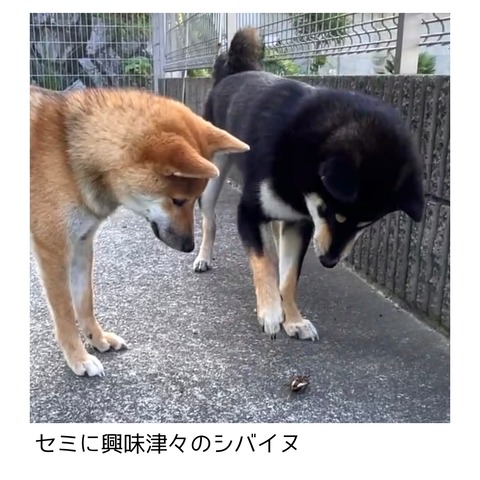 1F7B9CEF-8287-448F-A99E-EE53D803C6DC