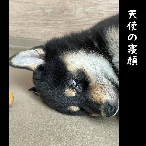 71A27077-39B5-448C-9111-7DCC9307F274