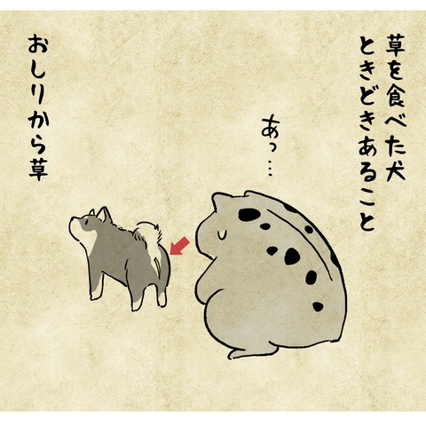 C3456272-D9CD-485B-BB13-C52D92A2D39C