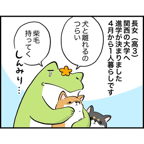 16C12D4A-2DE5-402D-8511-5A60F972BE5A