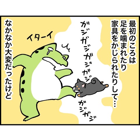 EEB0905B-A6A8-4423-BDC9-3C77A07A11C3