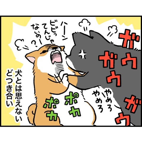 1F5B5231-43E0-4FDE-BE51-1C83C99645B5