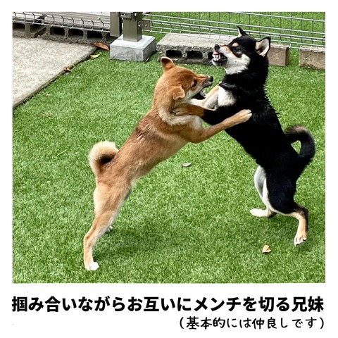 0DC9F7E9-0449-412F-87F8-7B21BB16E067