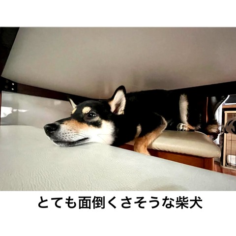 89F6AABA-442A-42F2-9841-58E0A251B1B3