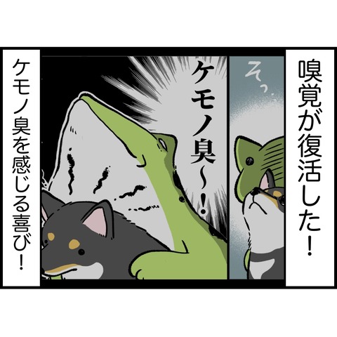 21A0B42D-4021-496A-B20B-EBC4013530DD