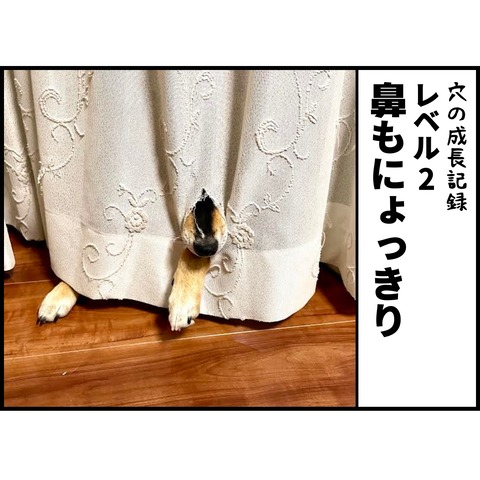 82D9529A-05AB-4FF1-A2C1-F33D2CABB943