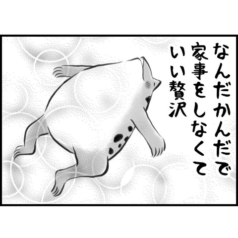 C531CF02-9911-4990-BBF1-F2A998D5049E