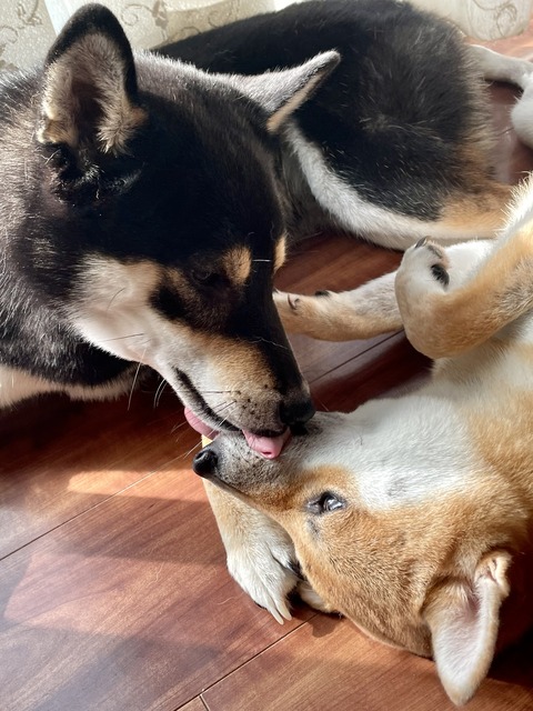 C19D78B8-4891-4C36-A241-E5B615895B56