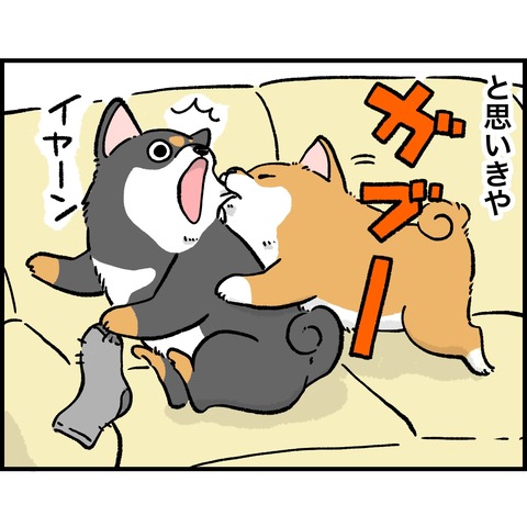 B1FB6A5A-2C88-4790-86D1-4A4B9763A909