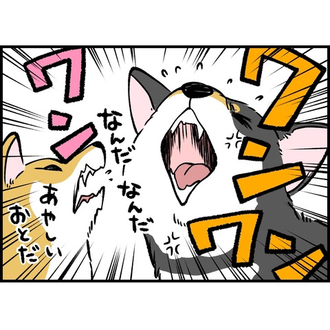 8F54C46C-2127-48BC-8BF7-B85863E5615A